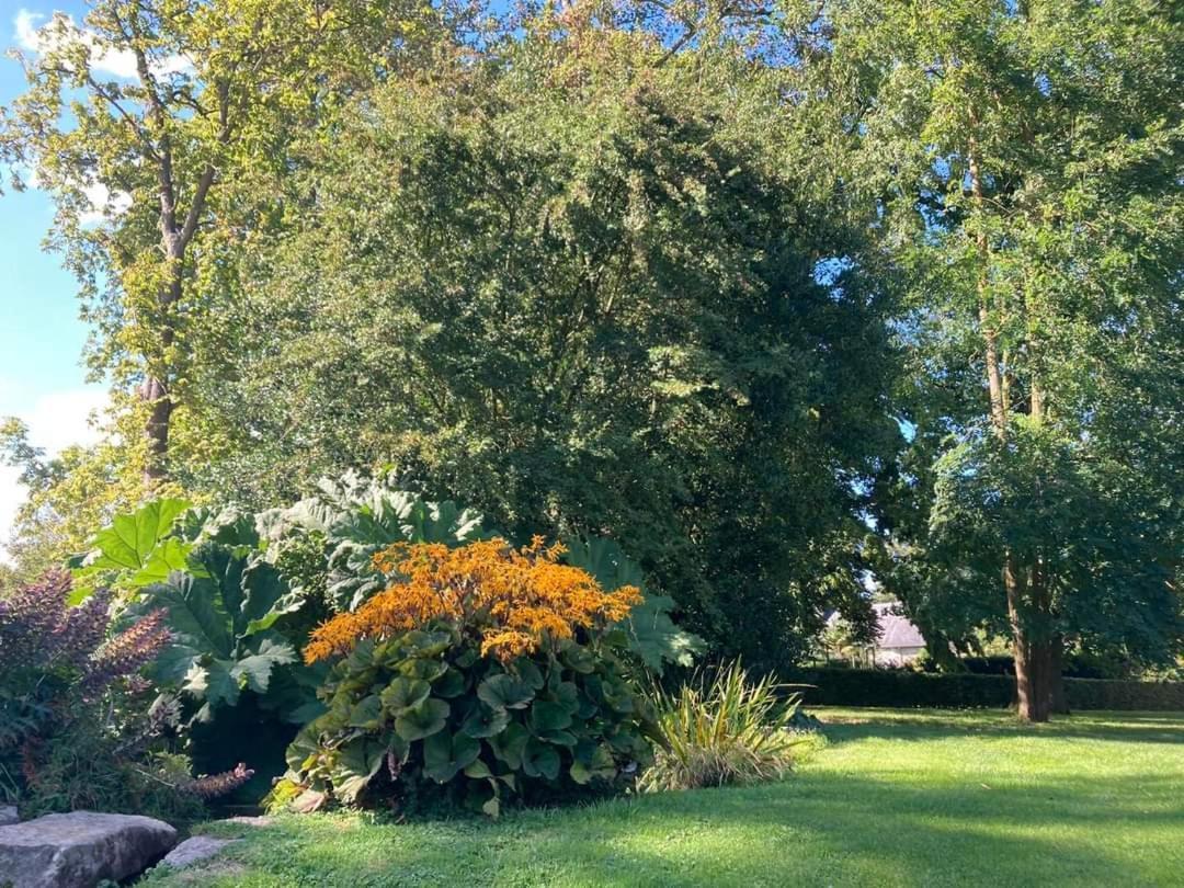 Le Gite Du Colombier Bracquetuit Exteriér fotografie
